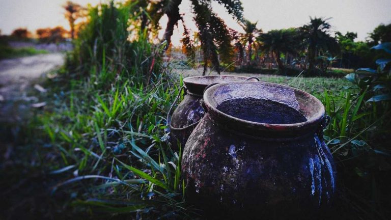 ফিরে আয় গৌরাঙ্গ –